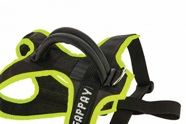 Arnés para cachorro – Gappay