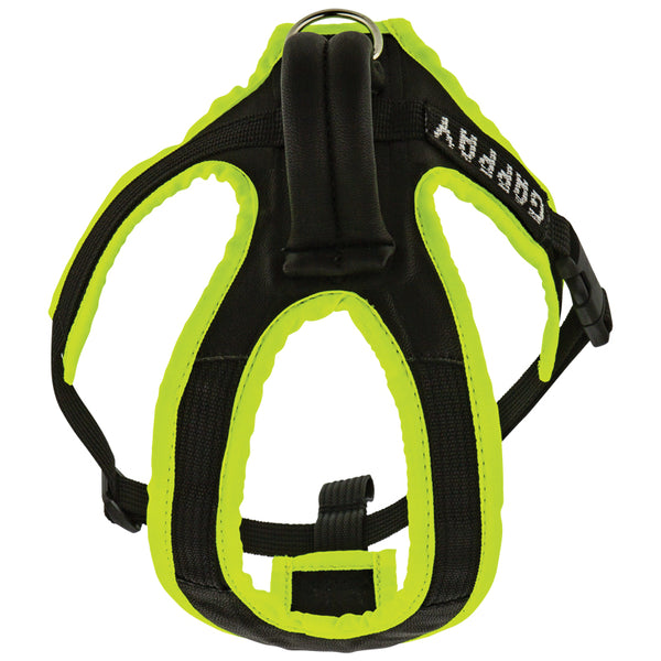 Arnés para cachorro – Gappay