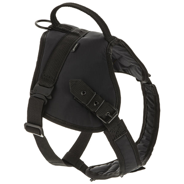 Arnés Rex II Gappay