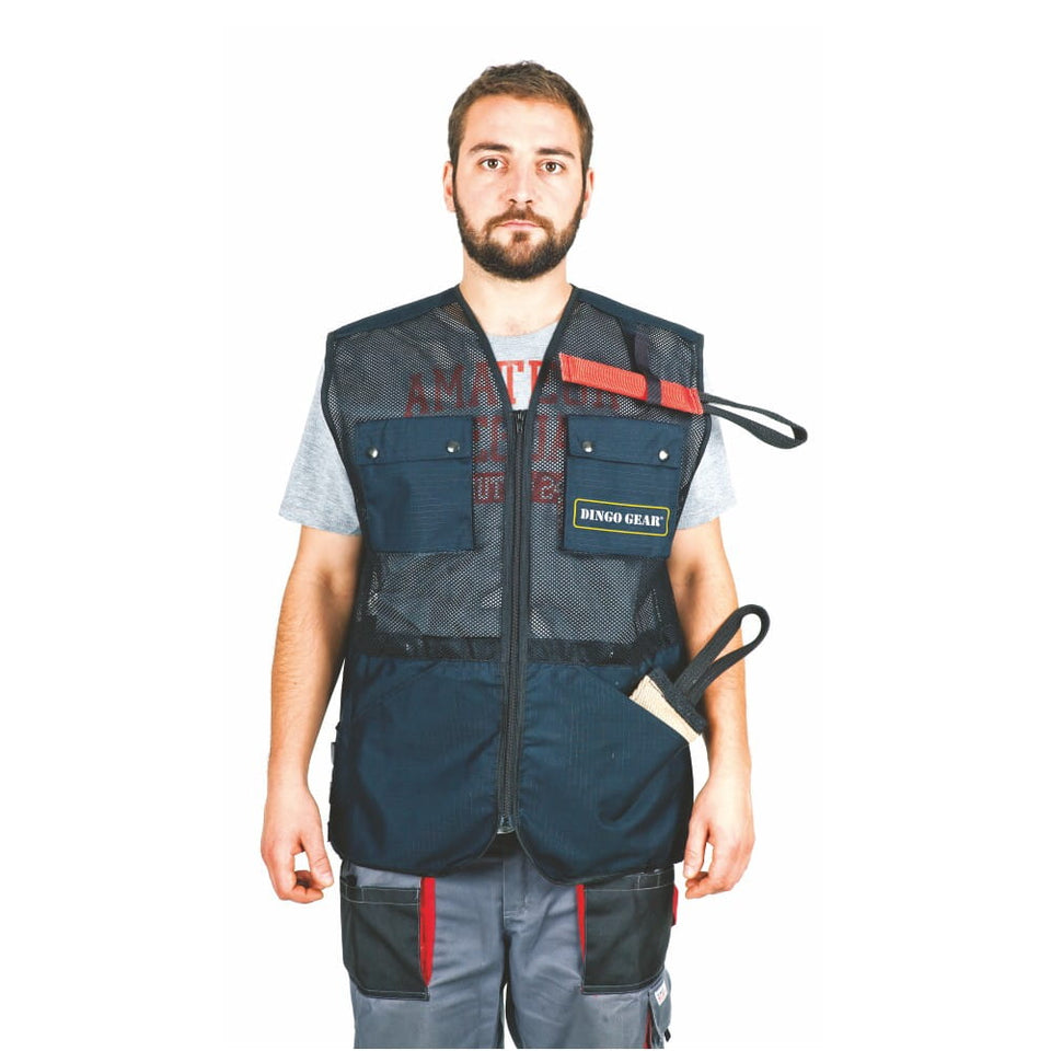 Dingo GEar