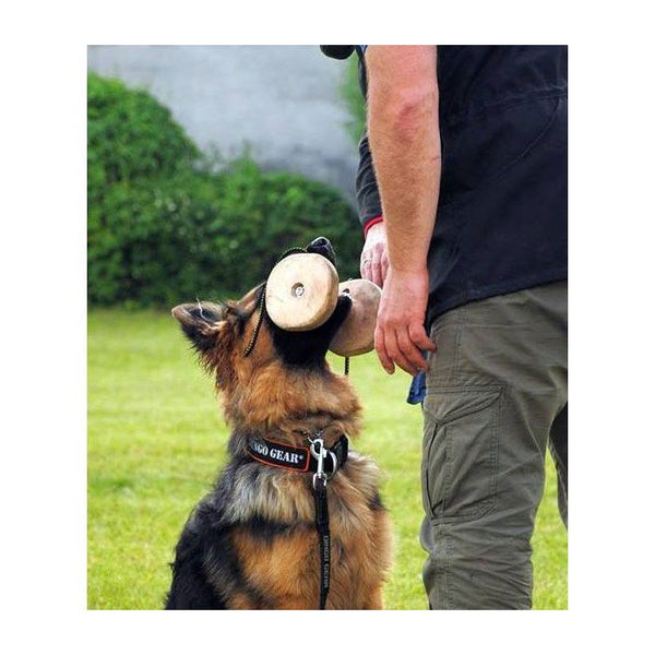 Dingo Gear Apport de entrenamiento