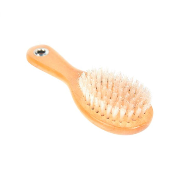 Dingo Cepillo con cerdas de nailon