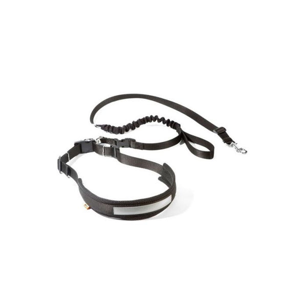 Dingo Set para correr con perro