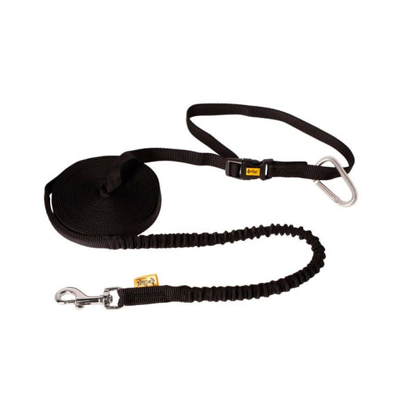 Dingo Cinturón para caminar y correa con amortiguador