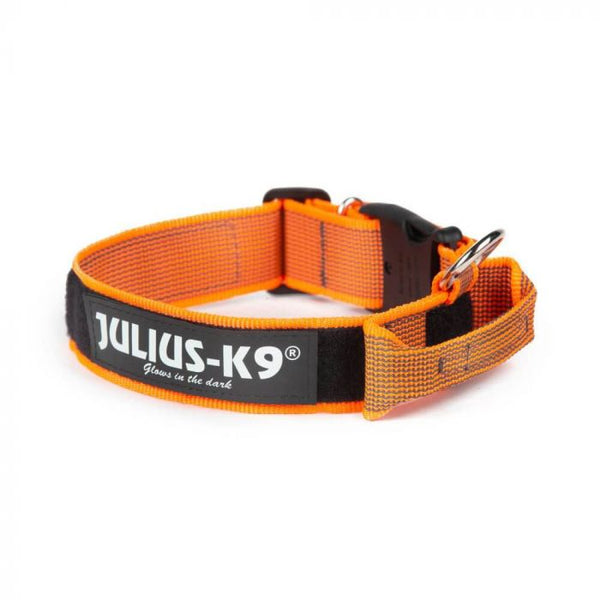 Julius-K9 Collar naranja con asa