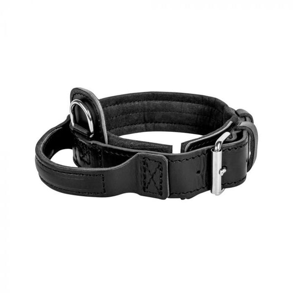 Dingo Gear Collar Drago de cuero con asa 50 mm