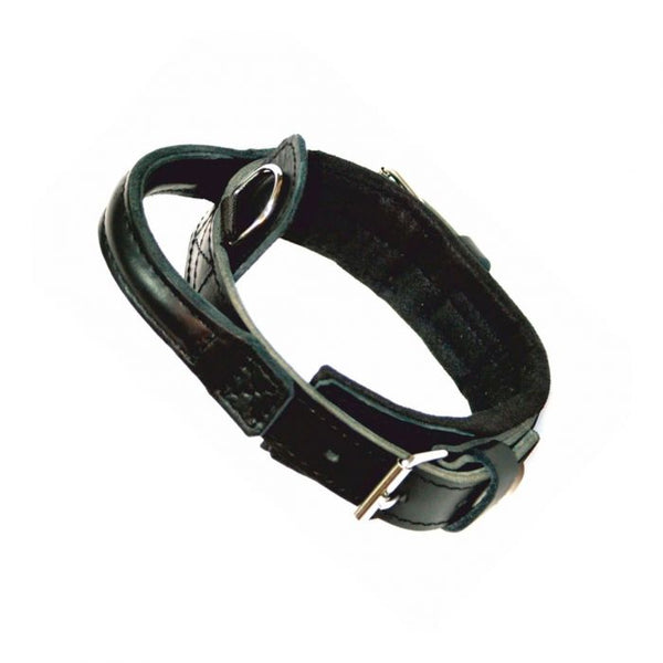 Dingo Gear Collar Heros de cuero con asa 50 mm