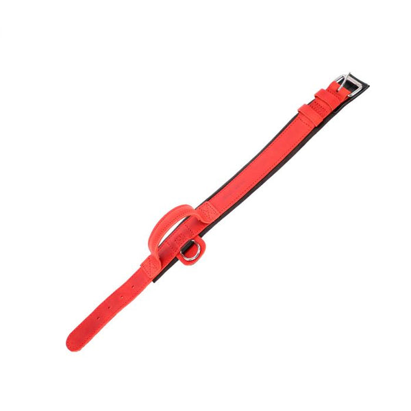 Dingo Gear Collar Drago rojo con asa 50 mm