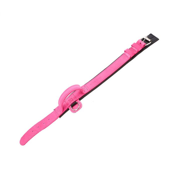 Dingo Gear Collar Drago rosa con asa 50 mm