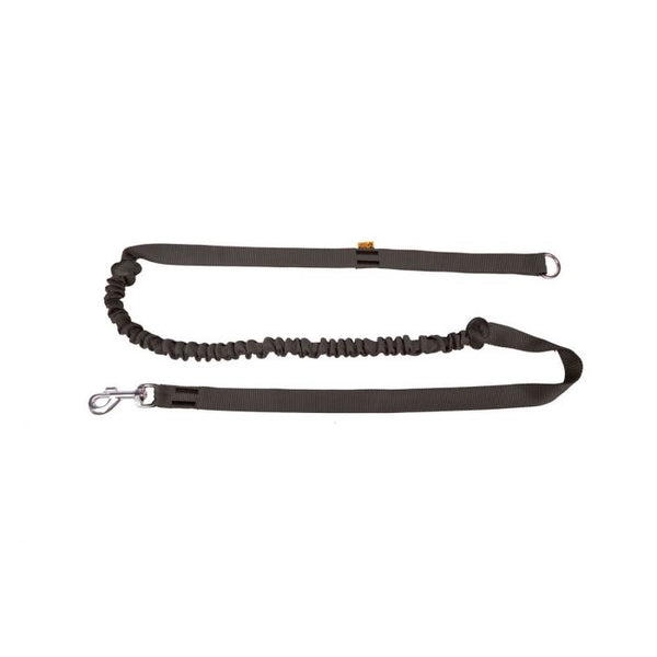 Dingo Correa negra con amortiguador para correr 25 mm x 1,7 m