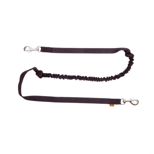 Dingo Correa negra con amortiguador y doble mosquetón 25 mm x 1,7 m