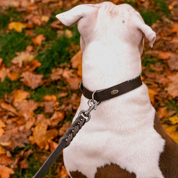 Dingo Correa gris de cuero natural 15 mm x 1,8 m