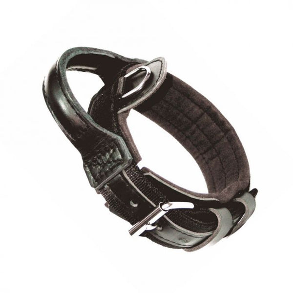 Dingo Gear Collar Drago con asa 50 mm