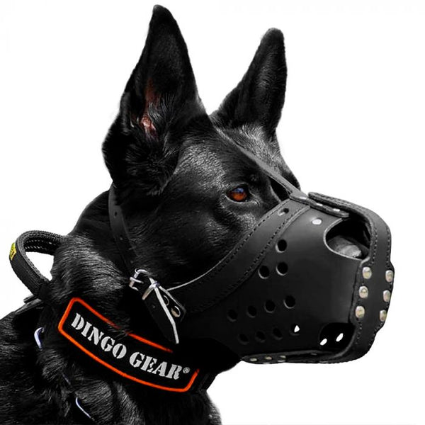 Dingo Gear Bozal de impacto de cuero reforzado