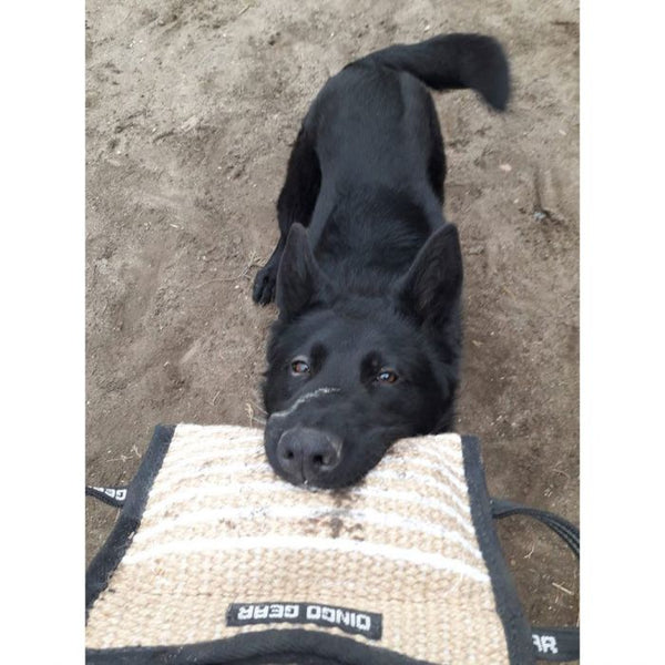 Dingo Gear Cojín medio de yute