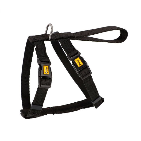 Dingo Arnés de seguridad para coche