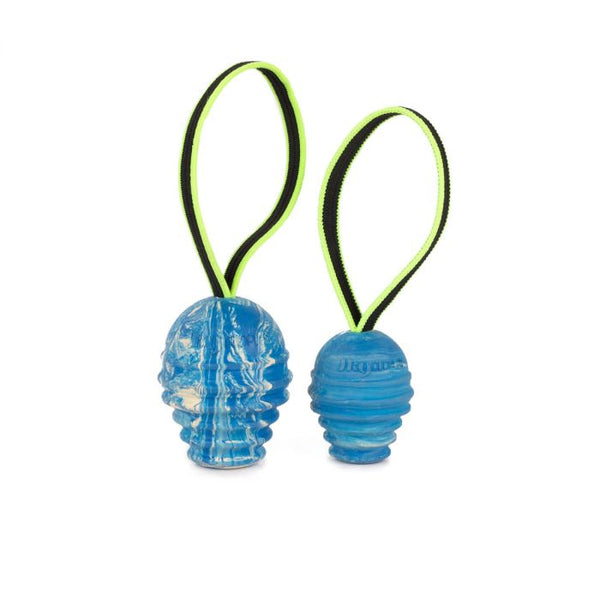 Julius-K9 Pelota antibacteriana Duoplay