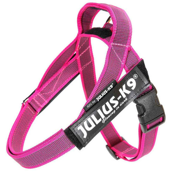Julius K-9 Arnês para cães IDC Norwegian