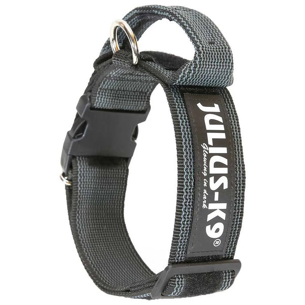 Julius K-9 Coleira de cachorro Collar 40 mm