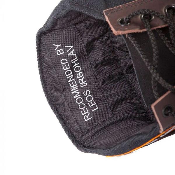 Dingo Gear Manga oculta Leo 1