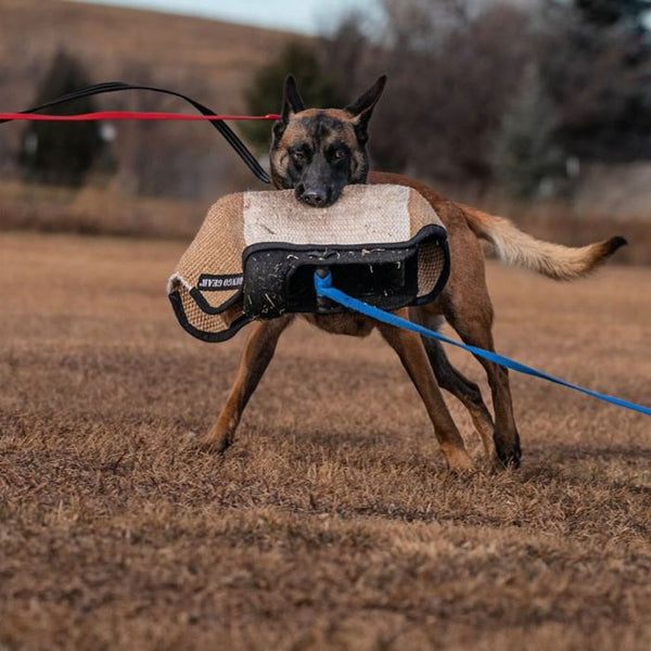 Dingo Gear Manga de entrenamiento Wolf