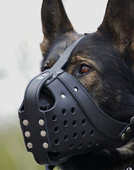 Bozal de cuero reforzado Gappay