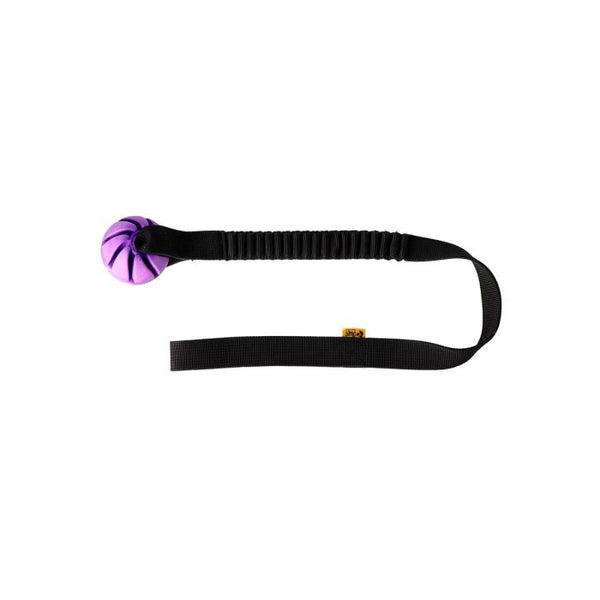 Dingo Pelota con asa elástica