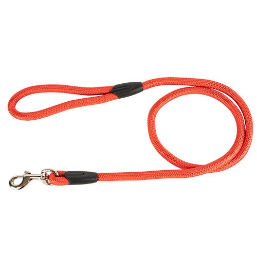 Correa resistente para perros grandes