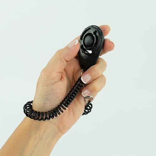 Clicker con elástico